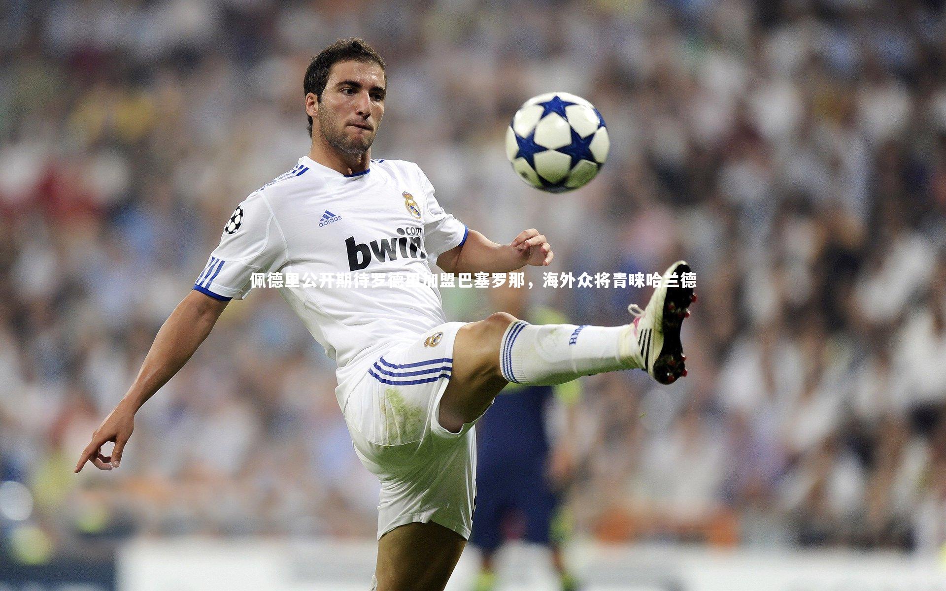 【九游体育官方入口】佩德里公开期待罗德里加盟巴塞罗那,海外众将青睐哈兰德-第1张图片-九游体育 【九游体育官方入口】佩德里公开期待罗德里加盟巴塞罗那,海外众将青睐哈兰德-第1张图片-九游体育